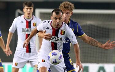 Pandev e Lazovic dal 1': probabili di Genoa-Verona