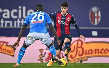 Napoli-Bologna, le probabili formazioni