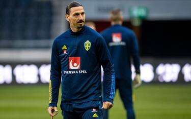 Ibrahimovic: "Puoi domare un leone, ma non Zlatan"