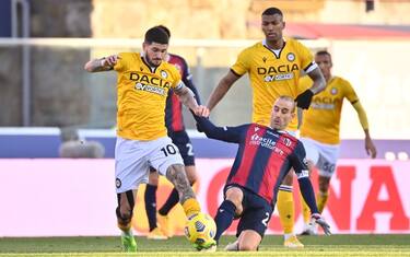 Udinese-Bologna, probabili: Okaka contro Palacio