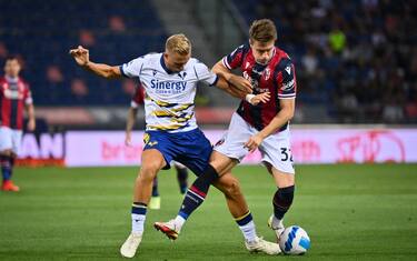 Verona-Bologna, dove vedere la partita in tv