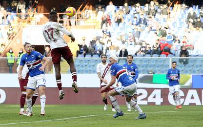 Sampdoria-Torino 1-2. HIGHLIGHTS