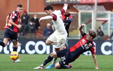Bonazzoli risponde a Destro: Genoa-Salernitana 1-1