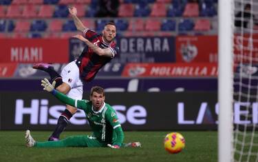 Bologna-Spezia 2-1. HIGHLIGHTS