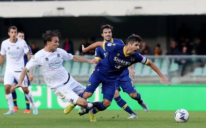 Spezia-Verona, le parole dei due allenatori