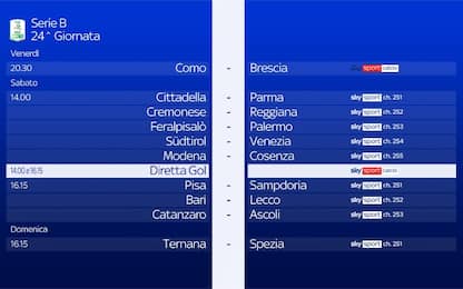 Serie B, la 24^ giornata: tutte le gare su Sky