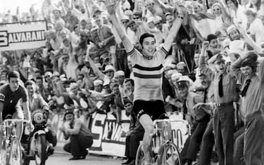Merckx, 75 anni: il Cannibale campione indomito