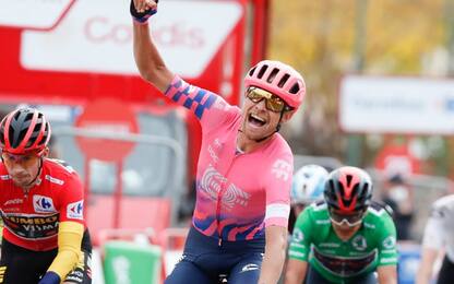 Cort Nielsen, volata vincente. Roglic in rosso