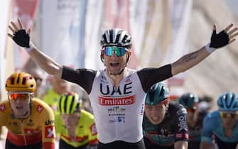 epa10466400 Italian rider Diego Ulissi of Uae Team Emirates celebrates while crossing the finish line to win the 4th stage of the Tour of Oman cycling race over 204.9 km from Izki to Yitti Hills, Oman, 14 February 2023.  EPA/YOAN VALAT