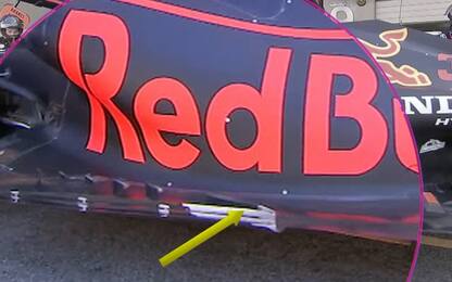 Red Bull dal Bahrain al Portogallo: le novità