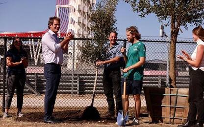 Austin omaggia Vettel: piantati 296 alberi