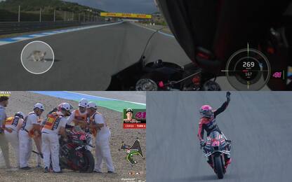 Espargaró schiva gatto, cade e poi fa la pole!