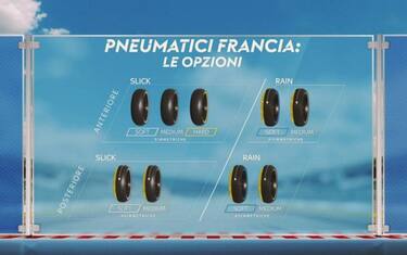 gomme_francia