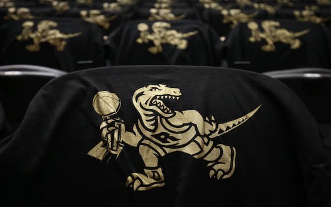 Anello raptors on sale