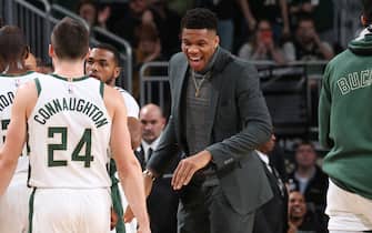 MILWAUKEE, WI - DECEMBER 28: Giannis Antetokounmpo #34 of the Milwaukee Bucks reacts during a game against the Orlando Magic on December 28, 2019 at the Fiserv Forum Center in Milwaukee, Wisconsin. NOTE TO USER: User expressly acknowledges and agrees that, by downloading and or using this Photograph, user is consenting to the terms and conditions of the Getty Images License Agreement. Mandatory Copyright Notice: Copyright 2019 NBAE (Photo by Gary Dineen/NBAE via Getty Images). 