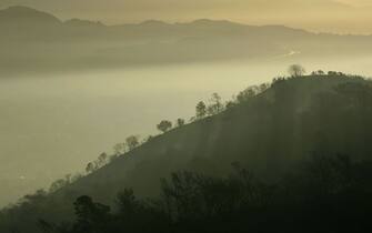 LOS ANGELES, CA - MAY 10:  The morning sun illuminates a smoky scene behind charred hills in the aftermath of a wildfire in Griffith Park, the nation's largest urban park, on May 10, 2007 in Los Angeles, California. The Griffith Observatory, Los Angeles Zoo, Travel Town, and various other park features were threatened but did not burn in the wildfire that broke out May 8 and forced nearby residents to evacuate their homes that night. More than 800 acres of brush were consumed. Five fires have broken out in the park, which is mostly native chaparral habitat open space, since December including one near the landmark Hollywood sign. Los Angeles is experiencing the driest rain season since records began in 1887. Two years ago, the city had its second-wettest winter.  (Photo by David McNew/Getty Images)