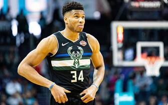 CHARLOTTE, NORTH CAROLINA - MARCH 01: Giannis Antetokounmpo #34 of the Milwaukee Bucks looks on before their game against the Charlotte Hornets at Spectrum Center on March 01, 2020 in Charlotte, North Carolina. NOTE TO USER: User expressly acknowledges and agrees that, by downloading and/or using this photograph, user is consenting to the terms and conditions of the Getty Images License Agreement. (Photo by Jacob Kupferman/Getty Images)