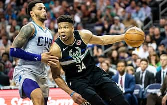 CHARLOTTE, NORTH CAROLINA - MARCH 01: Giannis Antetokounmpo #34 of the Milwaukee Bucks tries to dribble around Miles Bridges #0 of the Charlotte Hornets during the fourth quarter during their game at Spectrum Center on March 01, 2020 in Charlotte, North Carolina. NOTE TO USER: User expressly acknowledges and agrees that, by downloading and/or using this photograph, user is consenting to the terms and conditions of the Getty Images License Agreement. (Photo by Jacob Kupferman/Getty Images)