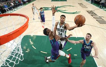 Giannis vs LaMelo, che finale tra Bucks e Hornets
