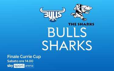 Finale Currie Cup, Bulls-Sharks oggi LIVE su Sky