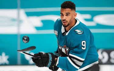 Falso certificato Covid, stop per 21 turni in NHL