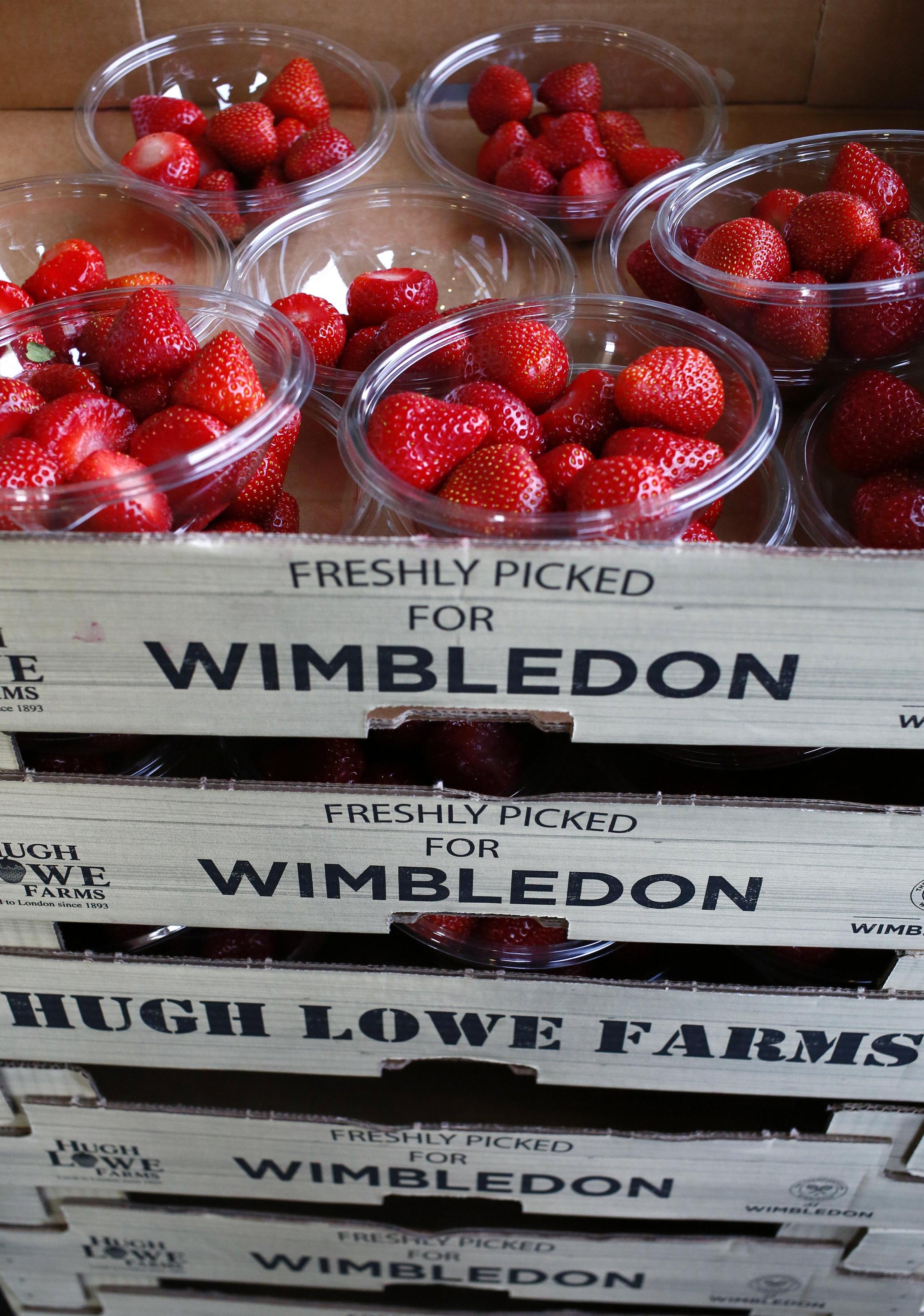 Le fragole di Wimbledon fragole