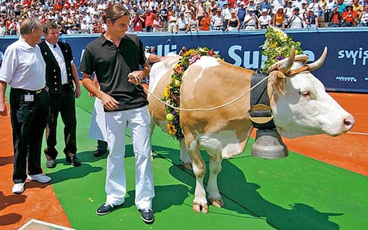 Federer con la mucca "Juliette" nel 2003 al Torneo di Gstaad (foto ATP Tour)
