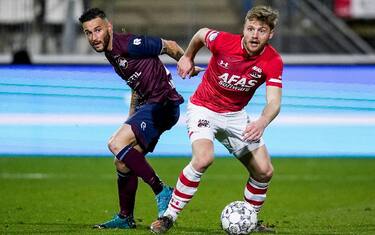 azalkmaar-willemii-1061456