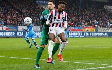 willemii-heraclesalmelo-1061475