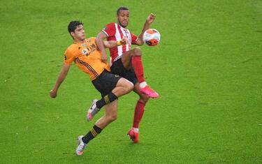 sheffield-wolves-1060039