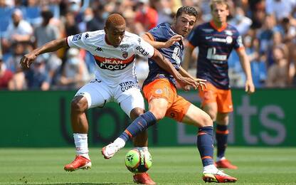 Montpellier-Lorient 3-1