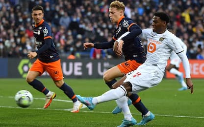 Montpellier-Lille HIGHLIGHTS