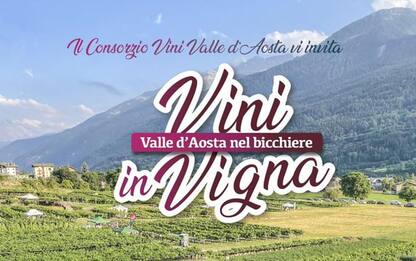 Vini in vigna, due appuntamenti in Valle d'Aosta