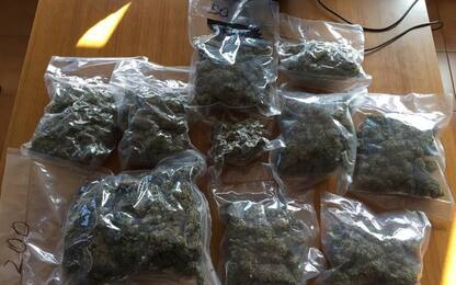 Compra 1,5 chili marijuana online, denunciato 15enne aostano