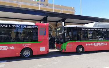 2113a047aab3ef78a603bfe5cc8217d3