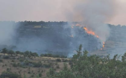 Incendi: brucia da 28 ore bosco Puglia, fiamme su 250 ettari