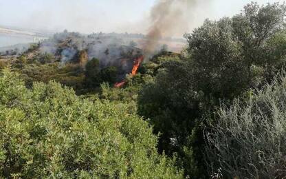 Incendi: fiamme in bosco nel Nord Barese, a rischio 60 ettari