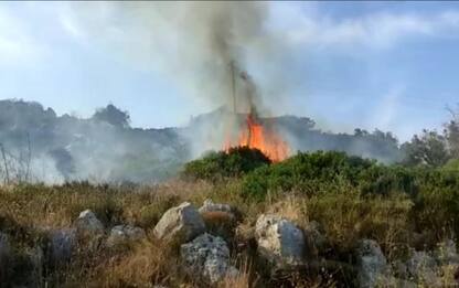 Incendi: nel Leccese in fumo 40 ettari di macchia mediterranea