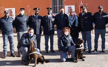 Polizia: inaugurata a Bologna struttura squadra cinofili