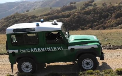 Carabinieri: multe per 5 milioni nei controlli dei Forestali