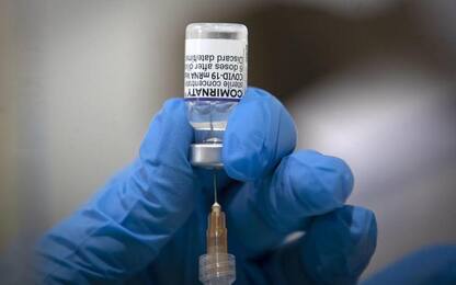 Vaccini: Gimbe, 1,3mln di sardi hanno completato ciclo