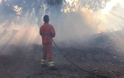 Incendi: volontari minacciano stop dopo bando regionale