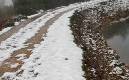 Maltempo: prima neve di stagione in Sardegna