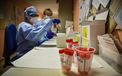 Coronavirus: ancora zero casi in Calabria per quinto giorno