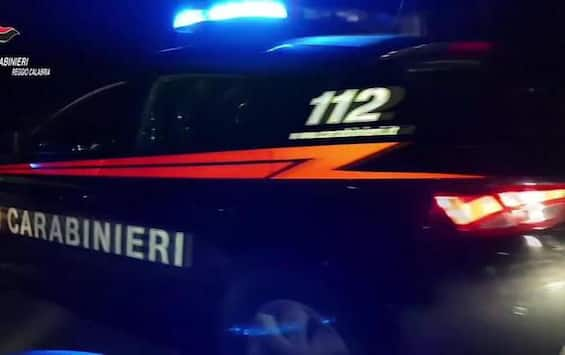 'Ndrangheta: Favorivano Latitanza Boss, 14 Arresti | Sky TG24