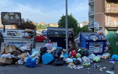 Abbandono di rifiuti, a Genova in un anno multe triplicate