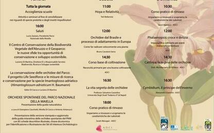'Orchidee in festa' per tre giorni all'Aurum di Pescara