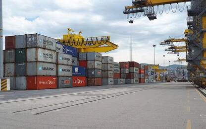 Porti: Trieste; Cosco avvia treni container con Slovenia