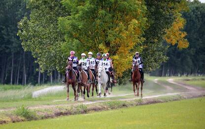 Equitazione: a Verona gotha dell'Endurance per il Mondiale