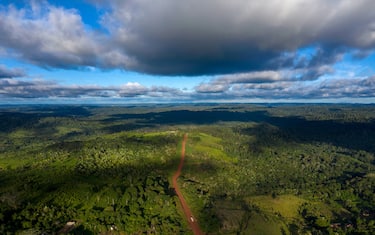 TOPSHOT - Aerial view of the Transamazonica Road (BR-230) near Medicilandia, Para State, Brazil on March 13, 2019. - According to the NGO Imazon, deforestation in the Amazonia increased in a 54% in January, 2019 -the first month of Brazilian President Jair Bolsonaro's term- compared to the same month of 2018. Para state concentrates the 37% of the devastated areas. (Photo by Mauro Pimentel / AFP)        (Photo credit should read MAURO PIMENTEL/AFP via Getty Images)